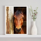 Quadro Decorativo Fotografia Cavalo Na Baia 33x24cm Moldura:m