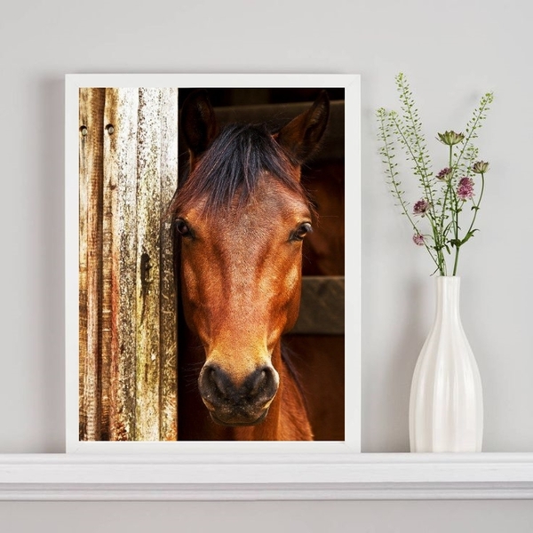 Quadro Decorativo Fotografia Cavalo Na Baia 45x34cm - Com Vid