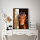 Quadro Decorativo Fotografia Cavalo Na Baia 45x34cm - Com Vid