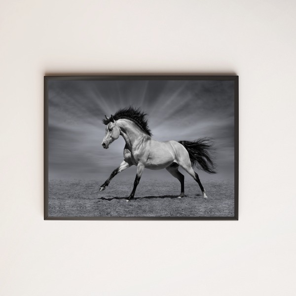 Quadro Decorativo Fotografia Cavalo Preto E Branco 24x18cm -