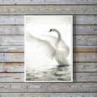 Quadro Decorativo Fotografia Cisne Branco 45x34cm - Com Vidro