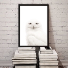 Quadro Decorativo Fotografia Coruja Branca 24x18cm - Com Vidr