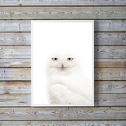 Quadro Decorativo Fotografia Coruja Branca 33x24cm - Com Vidr