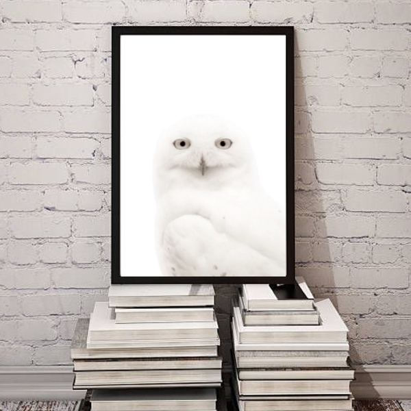 Quadro Decorativo Fotografia Coruja Branca 45x34cm - Com Vidr