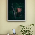 Quadro Decorativo Fotografia Elefante Floresta  - 70x50cm Mol