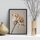 Quadro Decorativo Fotografia Flor- Tons Bege 45x34cm - Com Vi