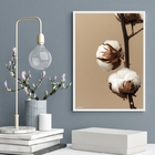 Quadro Decorativo Fotografia Flor De Algodão 33x24cm Moldura: