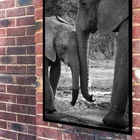 Quadro Decorativo Fotografia Mãe E Bebê Elefante  - 70x50cm M