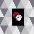 Quadro Decorativo Fotografia Margarida Vermelha E Branca 45x3