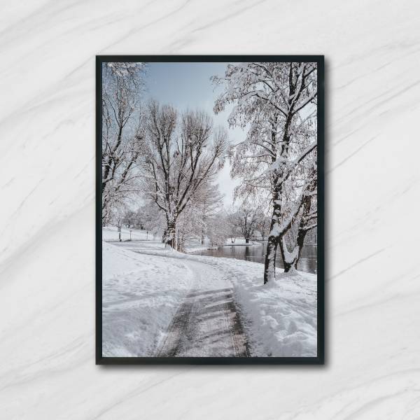 Quadro Decorativo Fotografia Paisagem Com Neve 45x34cm A3 (45