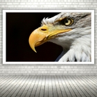 Quadro Decorativo Fotografia Perfil Águia  - 70x50cm Moldura