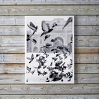 Quadro Decorativo Fotografia Pombos 45x34cm - Com Vidro Moldu