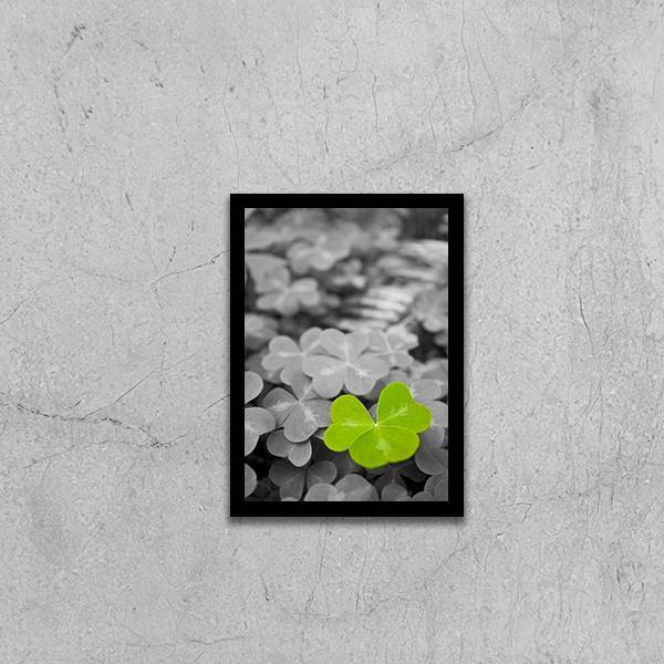 Quadro Decorativo Fotografia Trevo 45x34cm A3 (45 X 34)