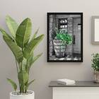 Quadro Decorativo Fotografia Vaso Com Plantas 45x34cm A3 (45