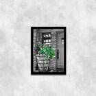 Quadro Decorativo Fotografia Vaso Com Plantas 45x34cm A3 (45