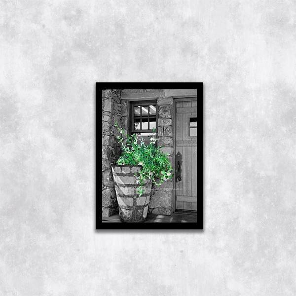 Quadro Decorativo Fotografia Vaso Com Plantas 45x34cm A3 (45