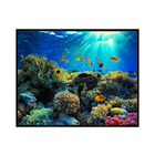 Quadro Decorativo Fundo do Mar 40x50cm Preto