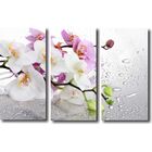Quadro Decorativo Galho De Orquídea 3 Peças Para Sala