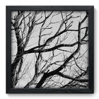 Quadro Decorativo - Galhos - 33cm X 33cm - 014qndbp