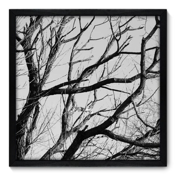 Quadro Decorativo - Galhos - 50cm X 50cm - 014qndcp