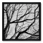 Quadro Decorativo - Galhos - 50cm X 50cm - 014qndcp