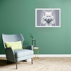 Quadro Decorativo Gata Olhos Fechados  - 50x70cm Moldura Bran