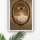 Quadro Decorativo Gata Provençal  - 70x50cm Moldura Branca