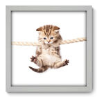 Quadro Decorativo - Gatinho - 33cm X 33cm - 123qdsb