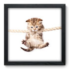Quadro Decorativo - Gatinho - 33cm X 33cm - 123qdsp