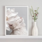 Quadro Decorativo Gatinho Branco Flor Branca 45x34cm Moldura