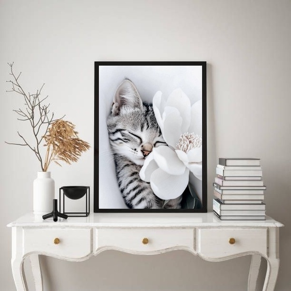 Quadro Decorativo Gatinho Com Flor Branca 33x24cm Moldura Pre