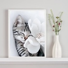 Quadro Decorativo Gatinho Com Flor Branca 45x34cm Moldura Pre
