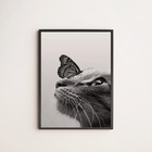 Quadro Decorativo Gato Com Borboleta 33x24cm - Com Vidro Mold