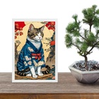 Quadro Decorativo Gato Com Kimono Oriental 24x18cm - Com Vidr