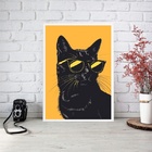 Quadro Decorativo Gato De Óculos Escuro 33x24cm Moldura Branca