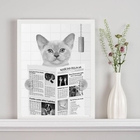 Quadro Decorativo Gato Lendo Jornal No Banheiro 24x18cm - Com