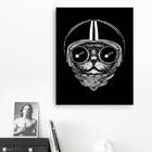 Quadro Decorativo Gato Preto Capacete 45x34cm - Com Vidro Mol