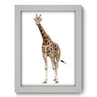 Quadro Decorativo - Girafa - 19cm X 25cm - 080qdsb