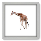 Quadro Decorativo - Girafa - 33cm X 33cm - 129qdsb