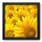 Quadro Decorativo - Girassol - 33cm X 33cm - 014qnfbp