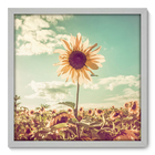 Quadro Decorativo - Girassol - 50cm X 50cm - 021qnfcb