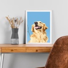 Quadro Decorativo Golden Retriever 45x34cm - Com Vidro Moldur