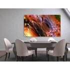 Quadro Decorativo Grande Abstrato Circle Colorful - 120x80cm