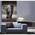 Quadro Decorativo Grande Animais Elephant Walk - 120x60cm