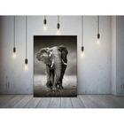 Quadro Decorativo Grande Animais Elephant Walk - 200x120cm
