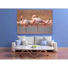 Quadro Decorativo Grande Animal Flamingos - 120x80cm