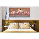 Quadro Decorativo Grande Animal Flamingos - 120x80cm