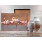 Quadro Decorativo Grande Animal Flamingos - 120x80cm