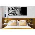 Quadro Decorativo Grande Animal Guepardo - 200x120cm