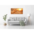 Quadro Decorativo Grande Animal Lion - 150x80cm